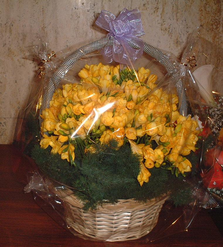 �t���[�W���̉ԘU