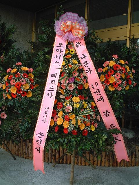 �I�A�V�X���R�[�h�Ђ��̉ԗ�